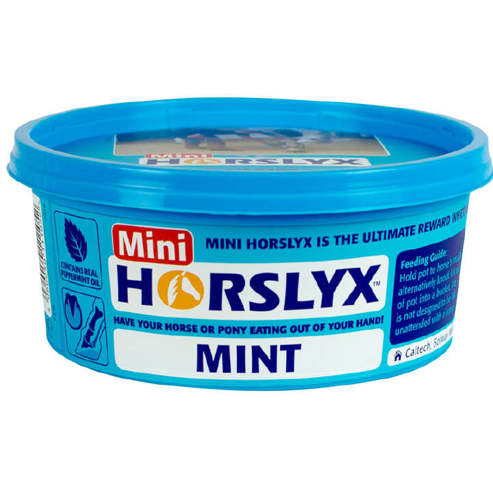 HORSLYX Mint